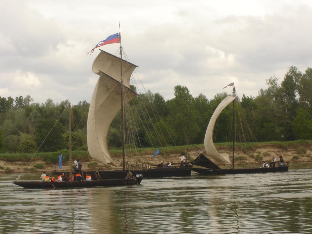 Les Bords De Loire Apartment Veuves Bilik gambar