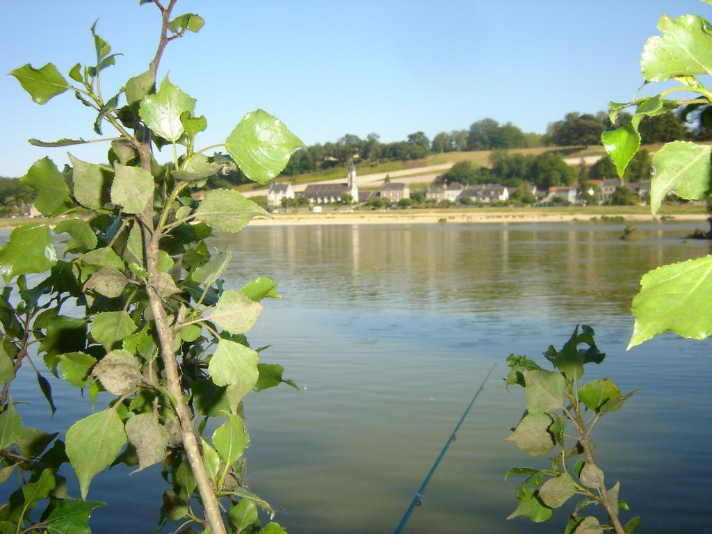 Les Bords De Loire Apartment Veuves Bilik gambar