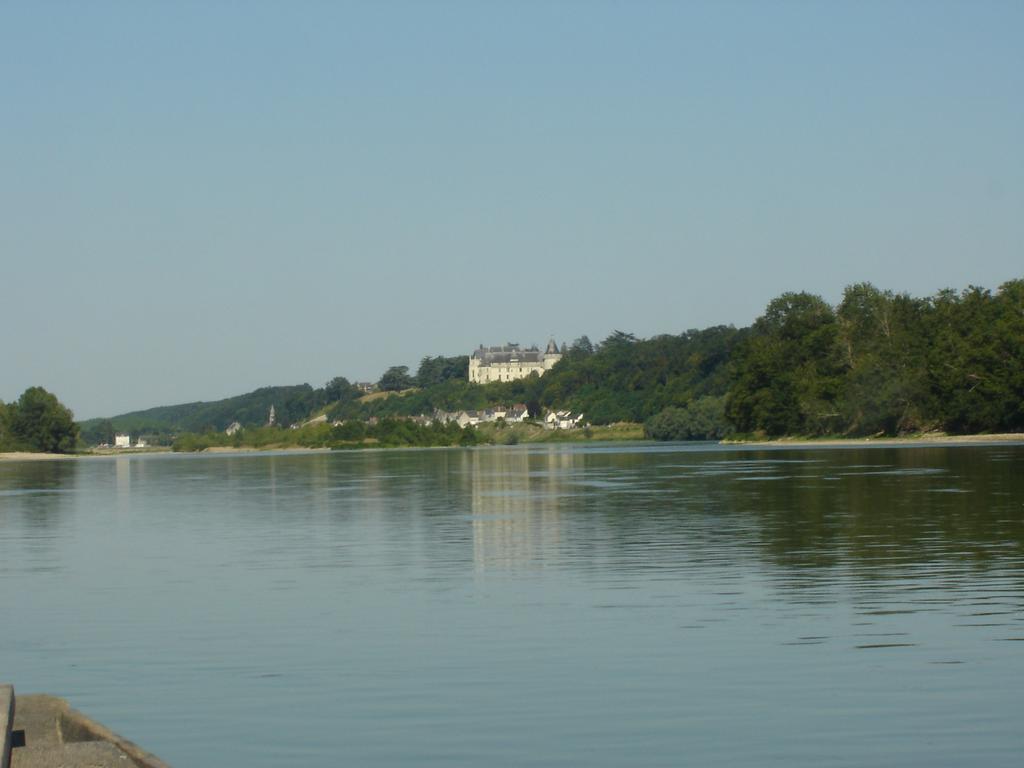 Les Bords De Loire Apartment Veuves Bilik gambar