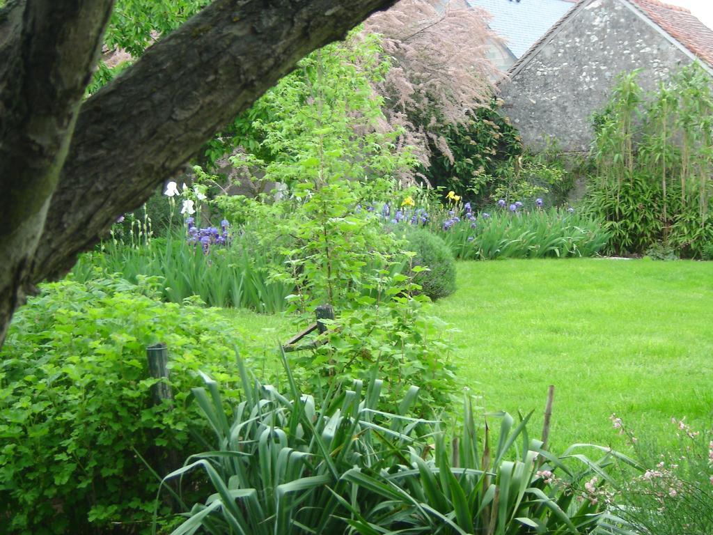 Les Bords De Loire Apartment Veuves Bilik gambar