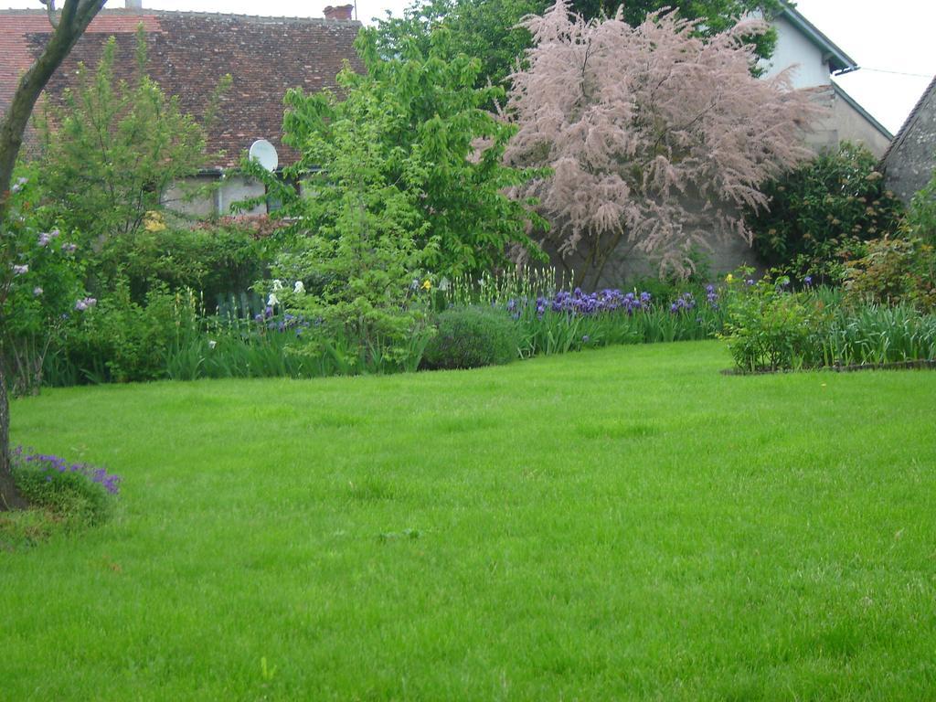 Les Bords De Loire Apartment Veuves Bilik gambar