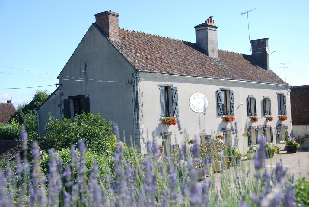 Les Bords De Loire Apartment Veuves Bilik gambar