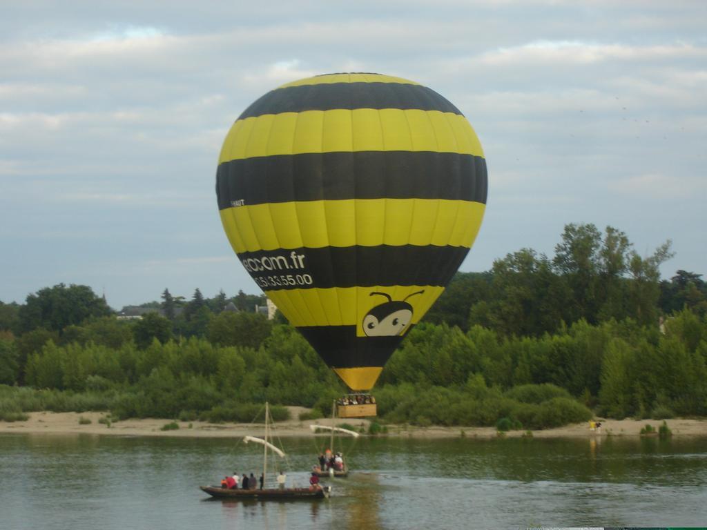 Les Bords De Loire Apartment Veuves Bilik gambar